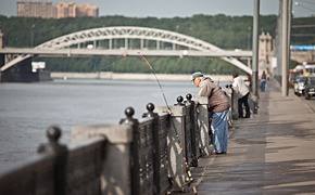 На крючке: Что можно выловить в Москве-реке?