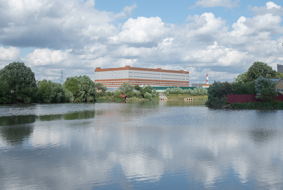 Мертвый пруд: От ядовитых стоков в Новой Москве гибнут животные и травятся люди