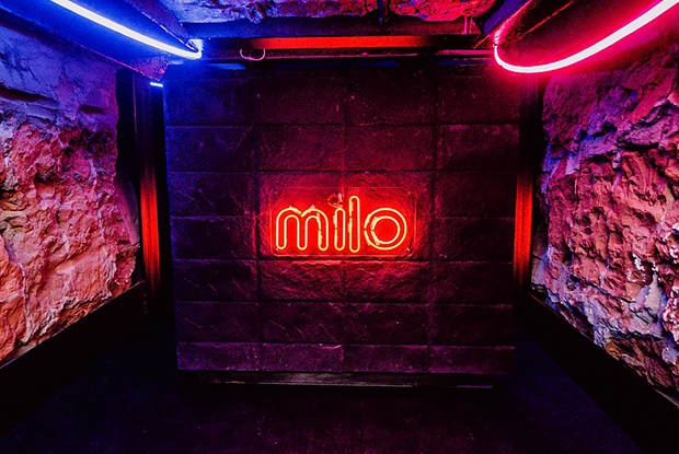 MILO CLUB: новая локация на Зеленском съезде