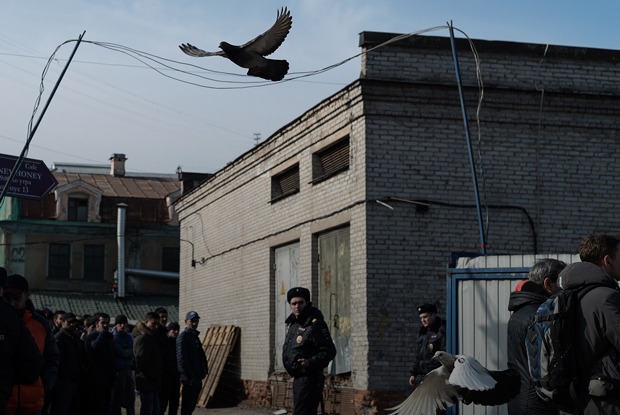 Дёшево и сердито: Как выглядит Апраксин двор в преддверии новой жизни
