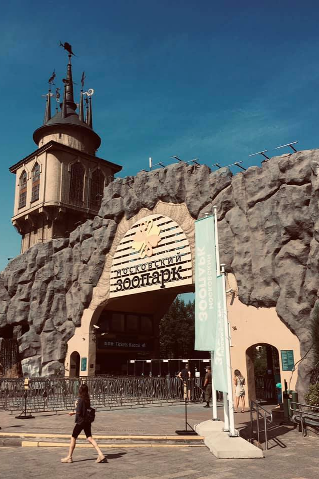Московский зоопарк продолжит работу в локдаун