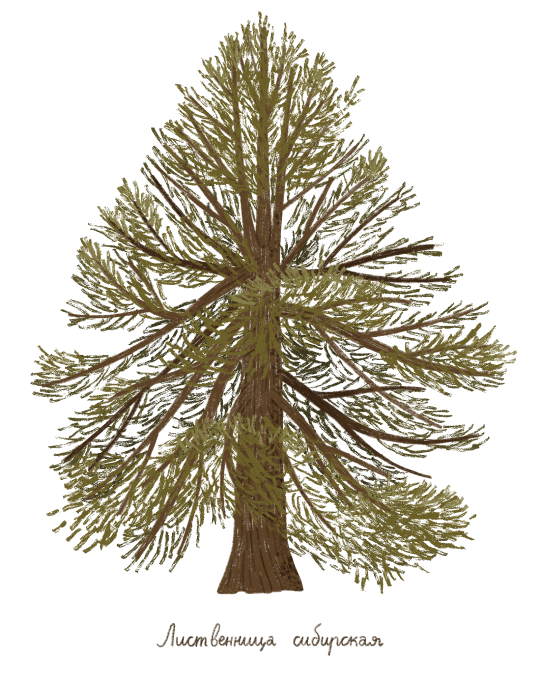 placeholder+image