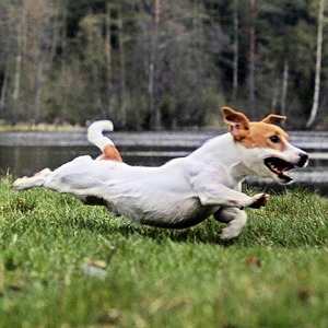Открытие дачного сезона в снимках Instagram