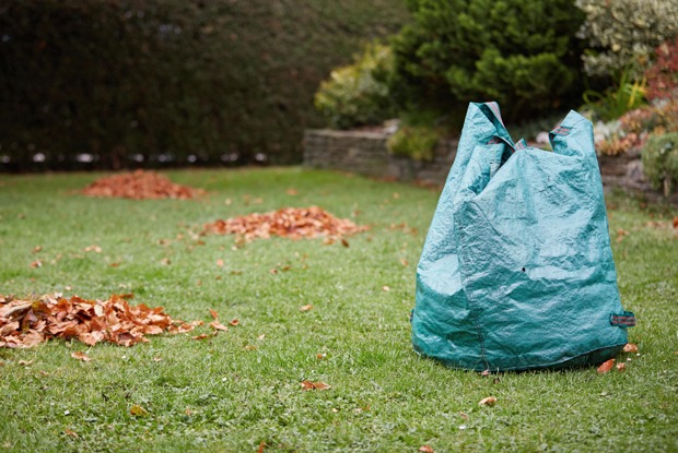 Надо ли убирать листву с газонов?
