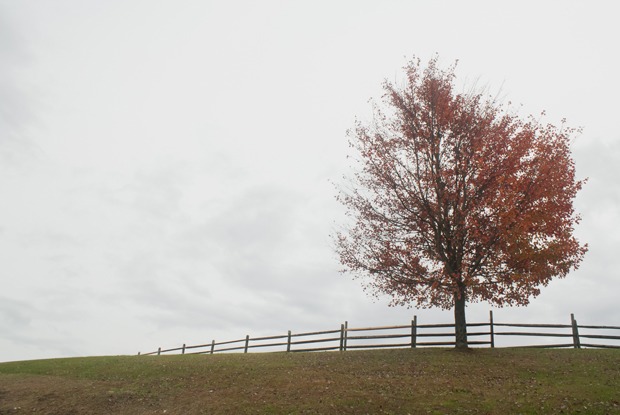 Как бороться с осенней хандрой?