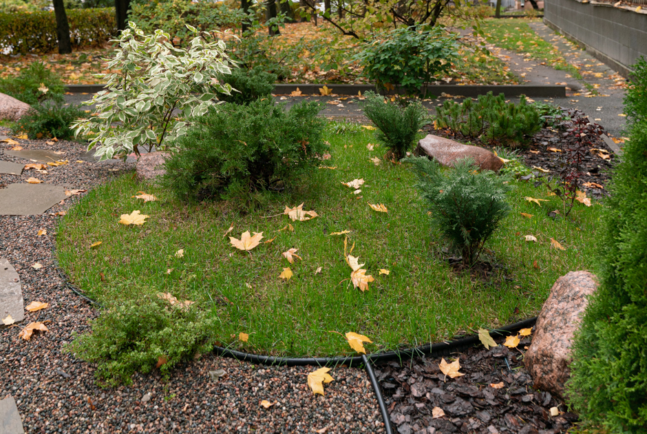 Как в петербургском «спальнике» сделали ландшафтный сад вместо бабушкиного огорода
