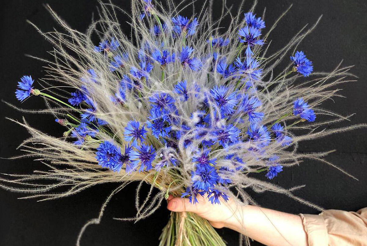 Для нежных, солнечных и колючих:
Как выбрать идеальный букет