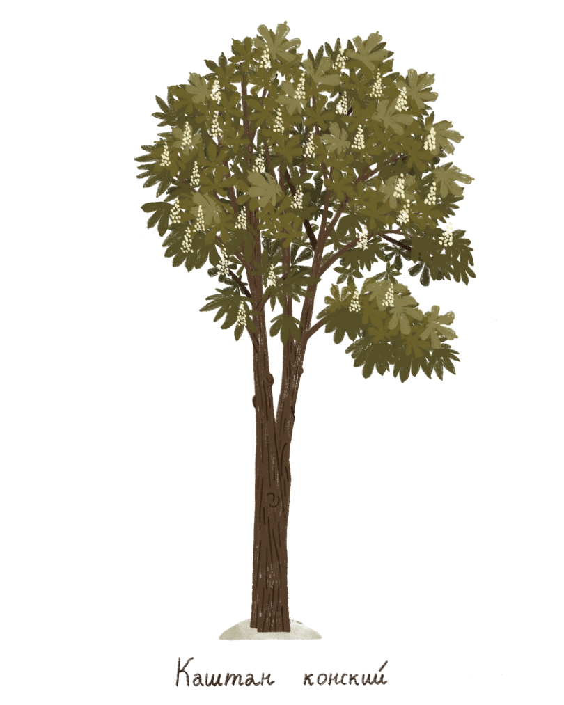 placeholder+image