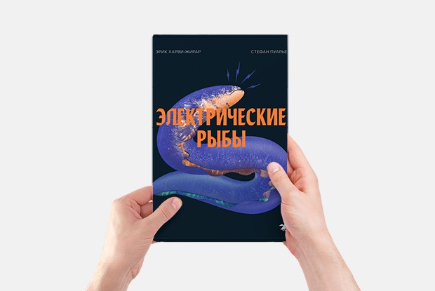 10 увлекательных научно-популярных книг для детей