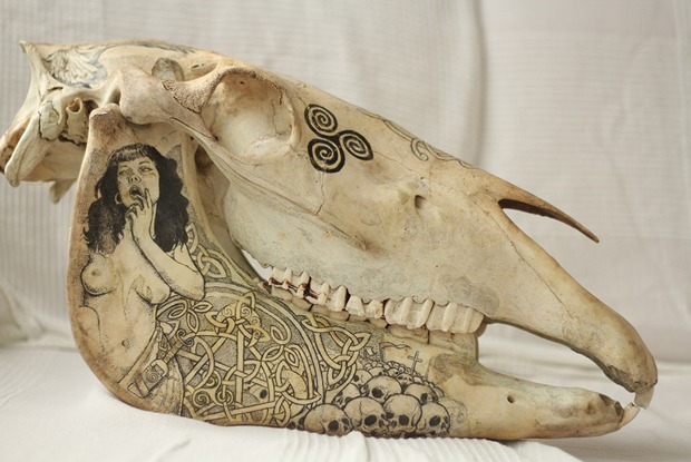 Skull Design: Татуированные черепа в инстаграме художницы-таксидермиста