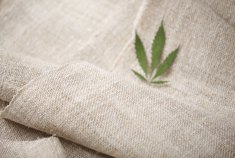 Испорченная репутация: Почему модная индустрия перестала использовать текстиль из каннабиса?