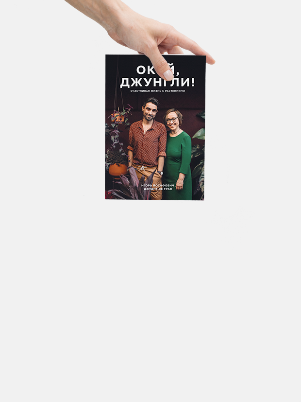 «Окей, джунгли!»: Главные советы для тех, кто хочет создать сад дома и на балконе