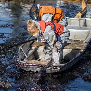 Как леса Коми очищают от нефти