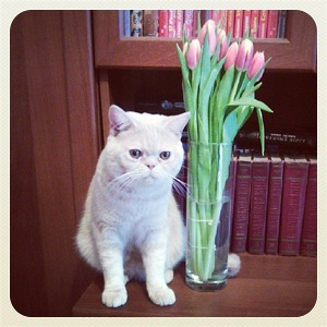 8 Марта в снимках Instagram