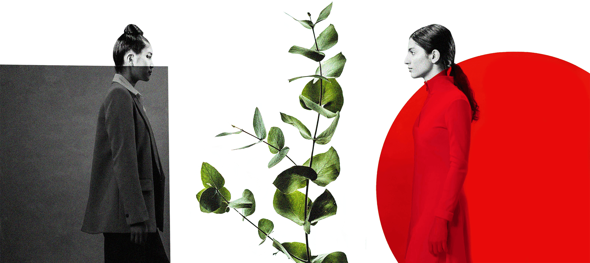 Где пить эко-коктейли, меняться одеждой и сдавать пластик: Гид по осознанному Екатеринбургу