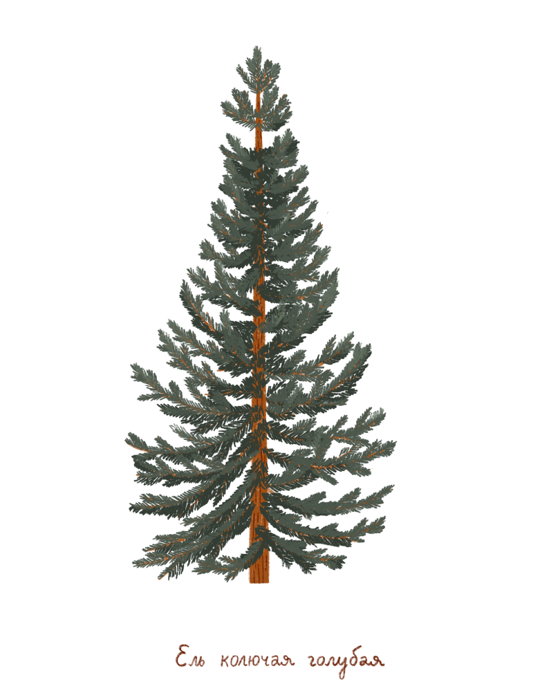 placeholder+image