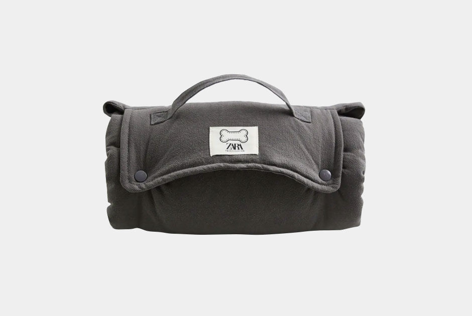 Zara выпустила коллекцию для питомцев. И она лучше человеческой!