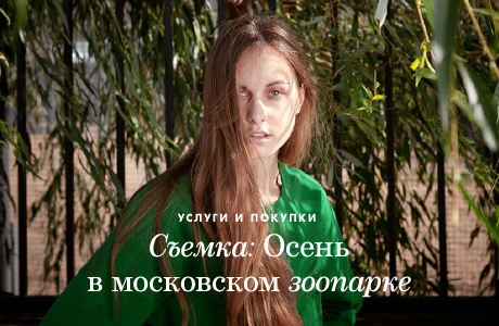 Cъёмка: Осень в зоопарке