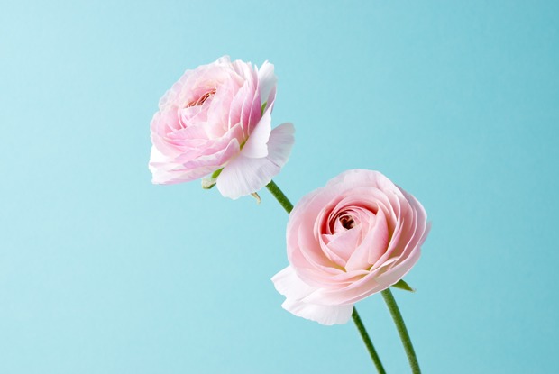 Сколько на самом деле стоит букет цветов