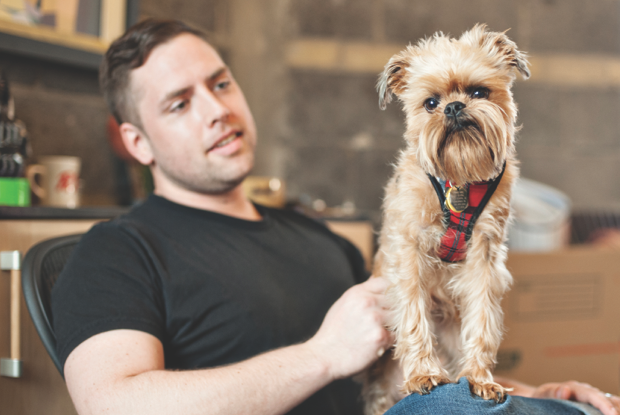 Как сделать свой офис dog-friendly