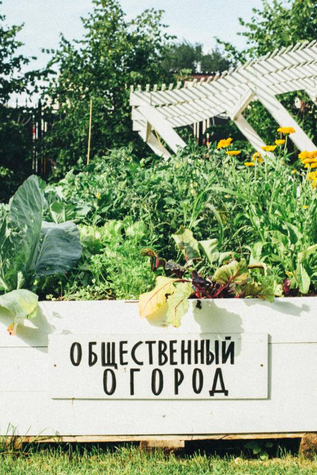 В парке Горького появится общественный огород. Все лето там можно выращивать овощи, зелень и цветы