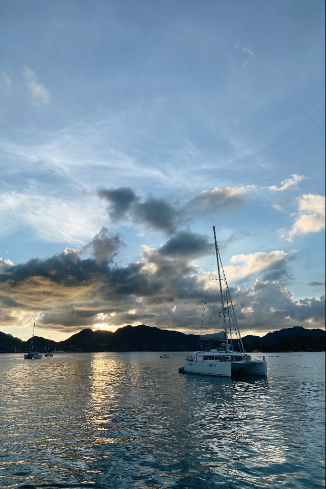 Яхтшкола «Сила ветра» устроит вечеринку с тропическими коктейлями в баре «Голова»