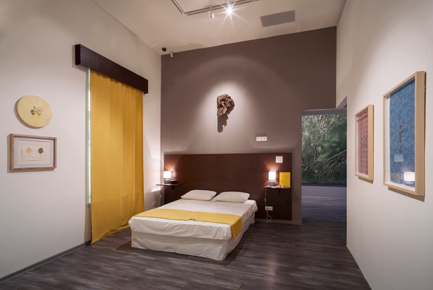 Это грибы: Как правильно смотреть выставку «Опыты нечеловеческого гостеприимства»