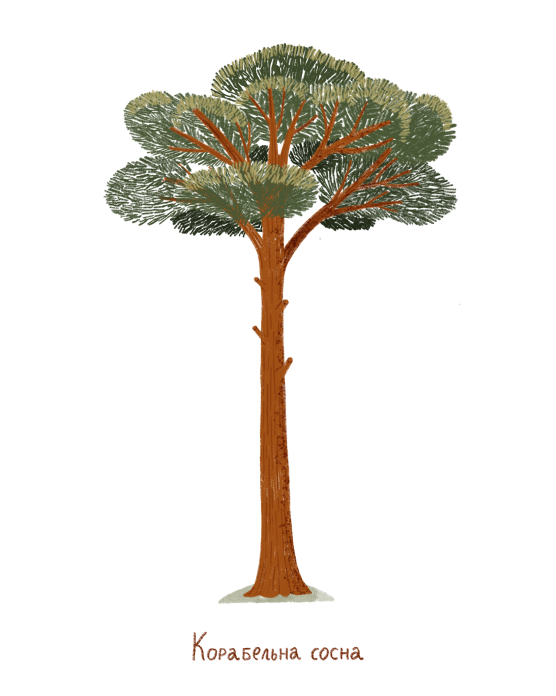 placeholder+image