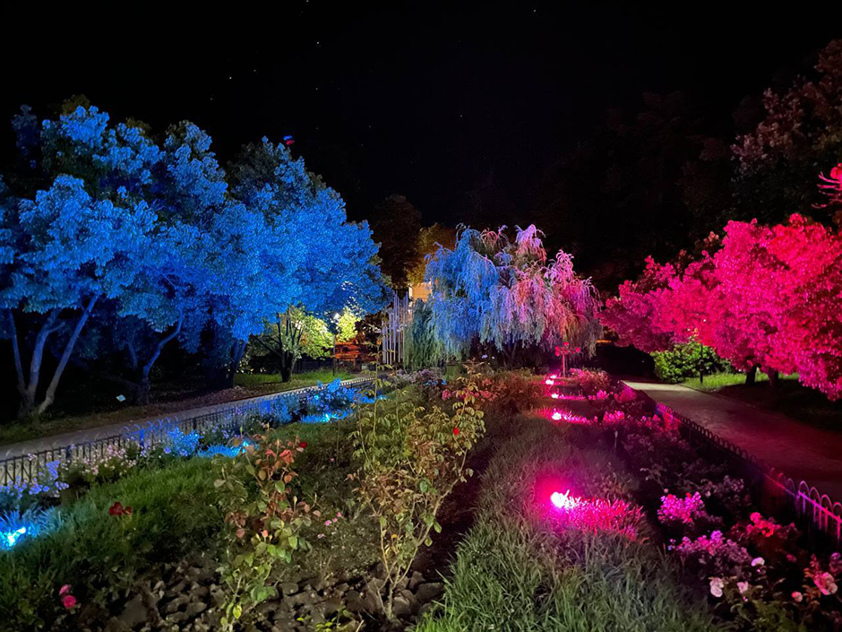 5 причин посетить мультимедийную прогулку «Сад Света. Легенда о друидах» 