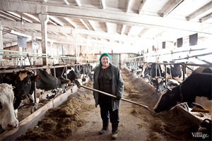 Репортаж: Как делают молочные продукты в «Лосево»
