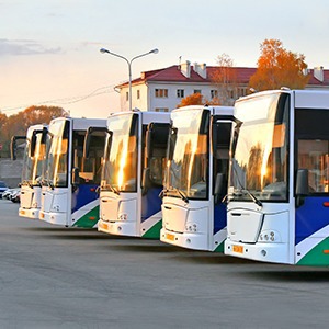 Как помочь россиянам дождаться автобуса