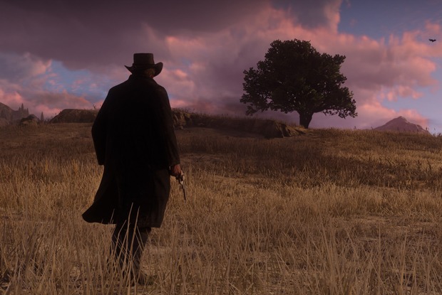 Из чего состоит Red Dead Redemption 2