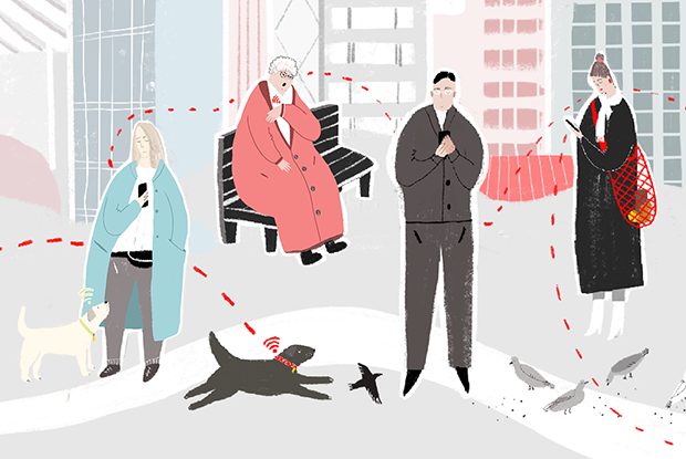 Всем по девайсу:
И детям, и бабушке, и питомцу