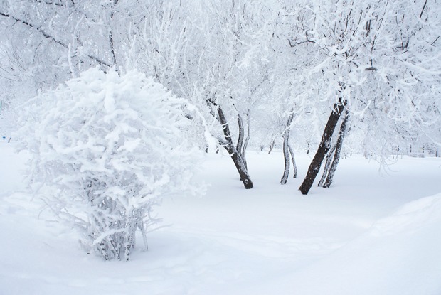 Сугробы – The Village
