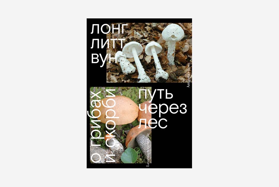 Мысли о грибах и попытка
с помощью них пережить смерть мужа —
в книге «Путь через лес. О грибах и скорби»
