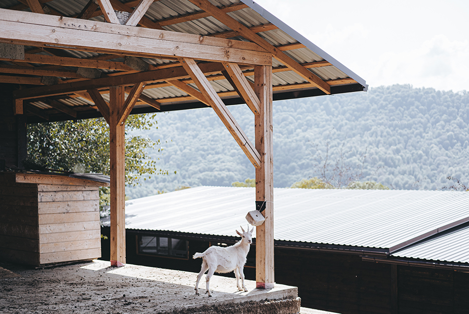 Натуральная  красота 