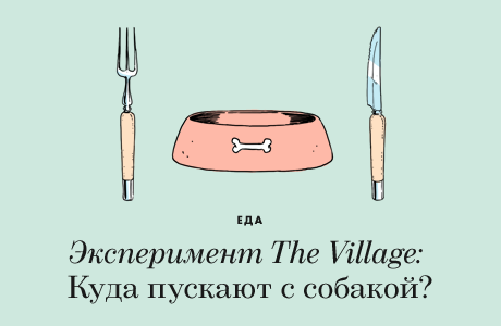 Эксперимент The Village: Куда пускают с собакой?