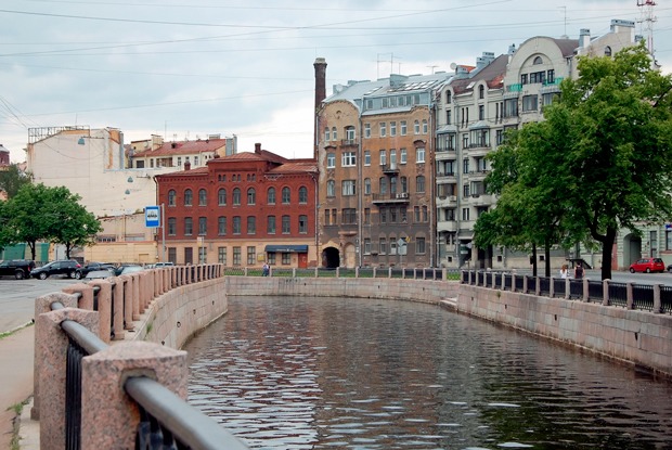 Почему в Петербурге исчезают деревья