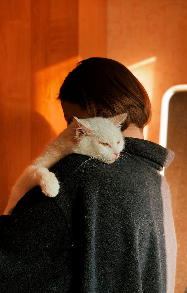 Инстаграм проекта помощи городским животным «Угол»